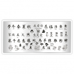 mini plaque stamping taki da 04 fraise nail shop