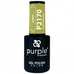 vernis semi permanent P2170 fraise nail shop