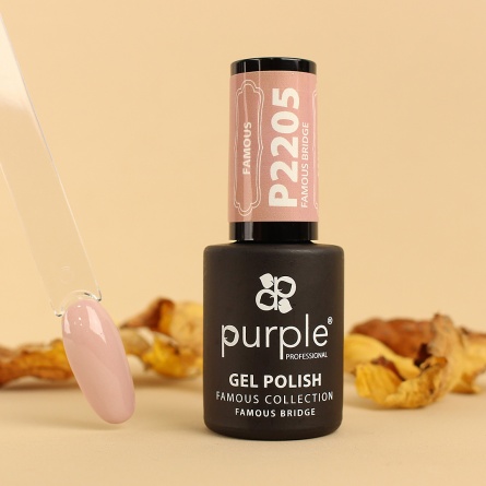 vernis semi permanent P2205 fraise nail shop 3