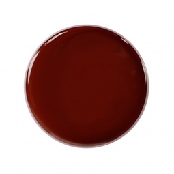 gel design brun fraise nail shop 2