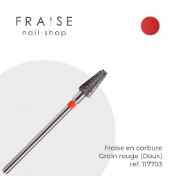 embout 117703 fraise nail shop